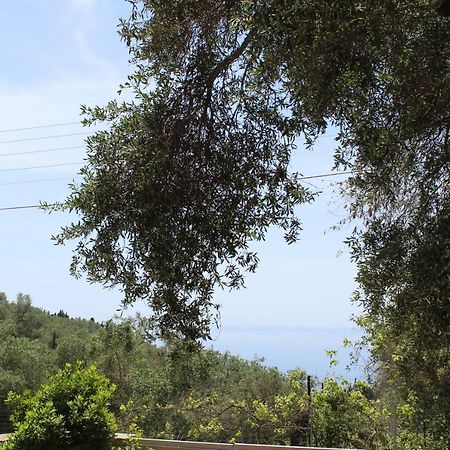 Liz E Mao Villa Vlachopoulátika Dış mekan fotoğraf